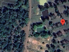 ขายที่ดินอุบลฯ อ.พิบูลมังสาหาร โคตรถูก เพียง 800,000 บาท 5 ไร่