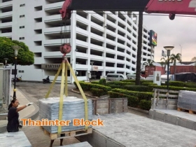 บล็อกตัวหนอน บล็อกแปดเหลี่ยม บล็อกปูหญ้า แผ่นทางเท้า