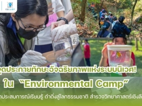 Environmental Camp l ค่ายสิ่งแวดล้อม l รับจัดค่ายทั่วประเทศ
