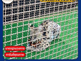 ตะแกรงเหล็กถัก