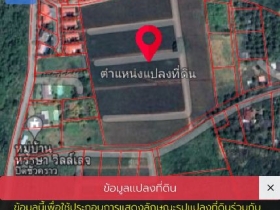 ขาย ที่ดิน ขายที่ดินวังก์พงสุดพิเศษด่วนปราณบุรี วังพงก์ ใกล้รีสอร