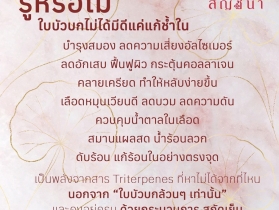 วิธีทำน้ำบัวบกแสนอร่อย ดื่มง่าย ไม่ขม by SANCHANA