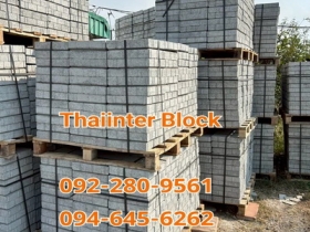 บล็อกตัวหนอน บล็อกแปดเหลี่ยม บล็อกปูหญ้า แผ่นทางเท้า