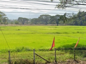 ขาย ที่ดิน ที่ดิน 51ไร่ หน้าที่ดิน ติดถนนซุปเปอร์ไฮเวย์ 170เมตร 5