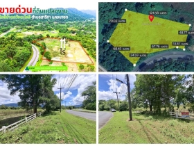 ขายที่ดินเมืองนครนายก แปลงใหญ่สวย เนื้อที่ 11 ไร่ เดินทางสะดวก