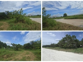 ขายด่วน ที่ดิน 5 ไร่ บ้านบึง ชลบุรี ทำเลดี เหมาะลงทุน ล้อมรั้ว