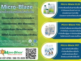 Micro-Blaze จุลินทรีย์สำหรับกำจัดกลิ่นเหม็นช่วยย่อยสลายสิ่งปฎิกูล