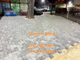 บล็อกตัวหนอน บล็อกแปดเหลี่ยม บล็อกปูหญ้า แผ่นทางเท้า