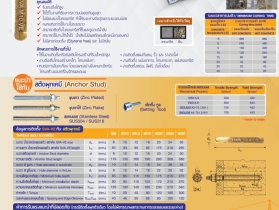 พุกเคมีแบบปั่น M16 (Chemical Anchor Bolt)
