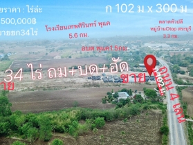 ขายที่ดิน 34 ไร่กว่า ถมดินแล้ว ต.พุแค อ.เฉลิมพระเกียรติ จ.สระบุรี